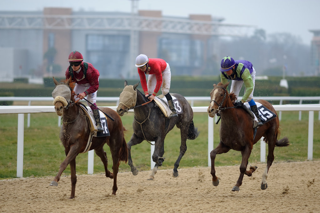 Horse Racing - Racecourse Angers / Ecouflant - Photo finish, France